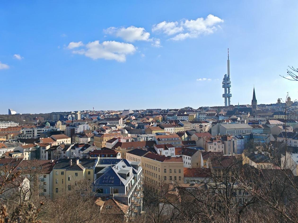 Flat In Zizkov With Free Underground Parking -501- Praga