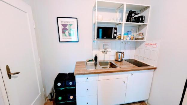 Appartamento Flat In Zizkov With Free Underground Parking -501- *