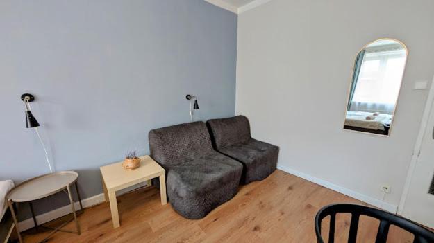 Flat In Zizkov With Free Underground Parking -501- *